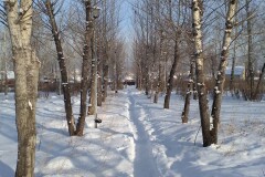 Парк в границах улиц Тайшетская, Коршуновская, Видимская в жилом районе Осиновка