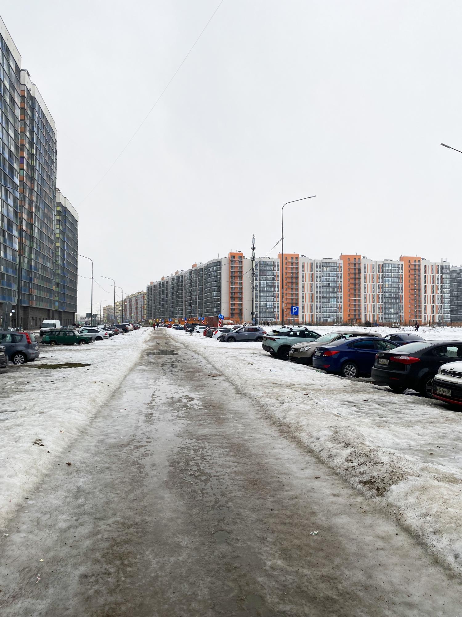 Воронцовский бульвар (этап 2 от улицы Графская до Петровского бульвара)