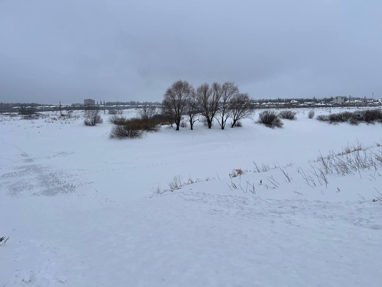 Территория в районе пруда, расположенного между жилыми районами пос. Сырский  Рудник и мкр. «Елецкий»