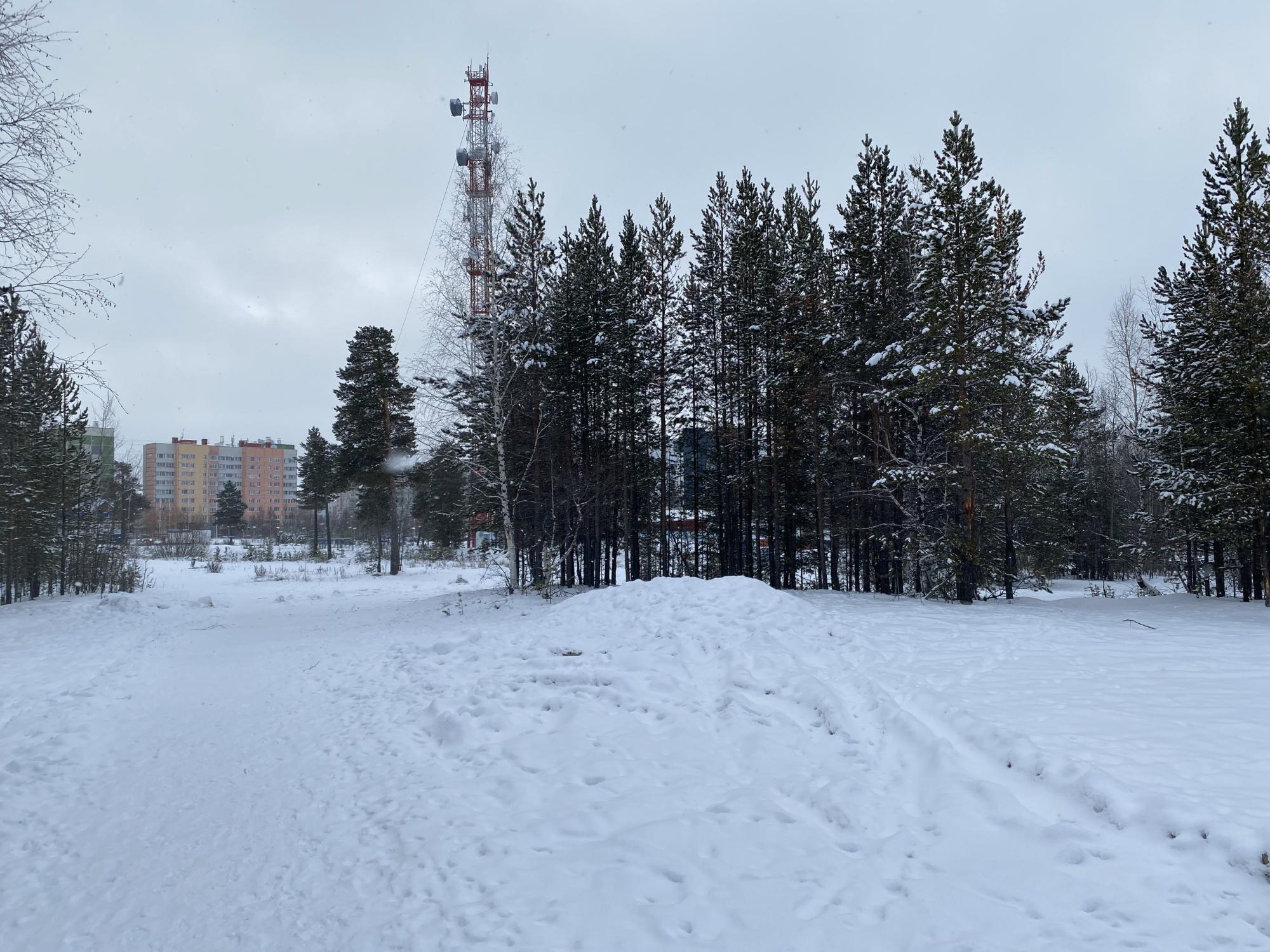 г. Ноябрьск, «Ноябрьск Парк» городской Парк культуры и отдыха (4 этап)