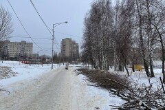 Пешеходная зона в районе ул. Бехтеева, 9 - ул. Московская, 6е