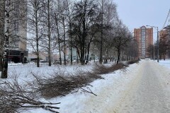 Пешеходная зона в районе ул. Бехтеева, 9 - ул. Московская, 6е