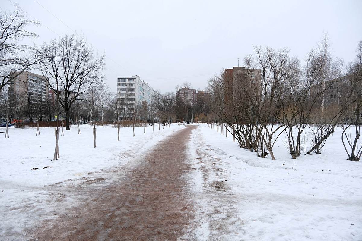 Фрунзенский район: сквер б/н на Софийской ул. между д.32 к.1, д.34 к.2 и д. 38 к.1