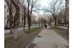 сквер по ул.Профсоюзной в Ворошиловском районе Волгограда  текущее состояние