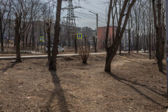 Пешеходная аллея