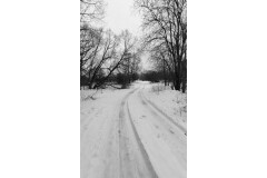 Петродворцовый район:  г. Ломоносов, территория в районе д. 92 по ул. Морская