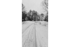 Петродворцовый район:  г. Ломоносов, территория в районе д. 92 по ул. Морская