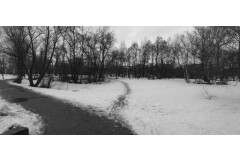 Петродворцовый район: г. Петергоф, территория между ул. Спортивная (от д. 1 А) и полосой отвода железной дороги