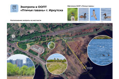 дизайн-проект
