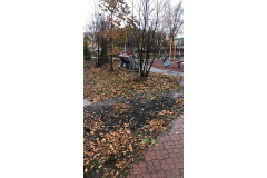 сквер 